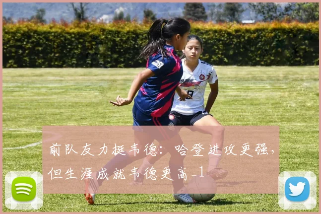 前队友力挺韦德：哈登进攻更强，但生涯成就韦德更高_1