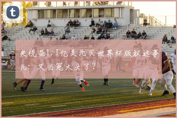 央视花1.1亿美元买世界杯版权这事儿：又当冤大头了？