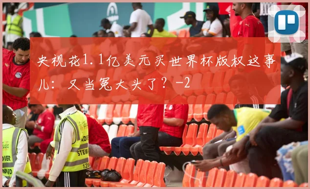 央视花1.1亿美元买世界杯版权这事儿：又当冤大头了？
