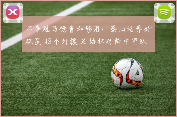 不争冠马德鲁加够用，泰山培养好双星 顶个外援 足协杯对阵中甲队